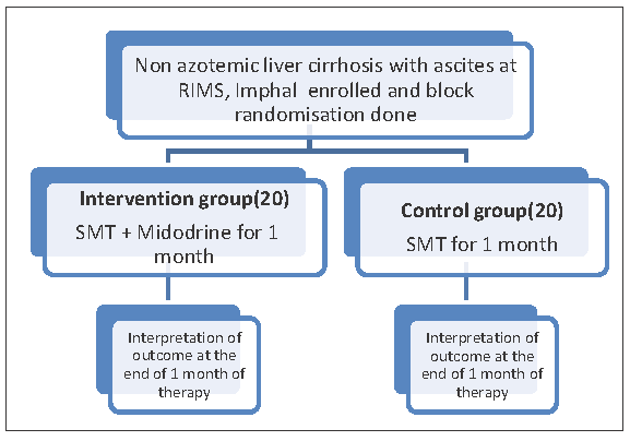 Depicts the participants’ recruitment and study procedure.